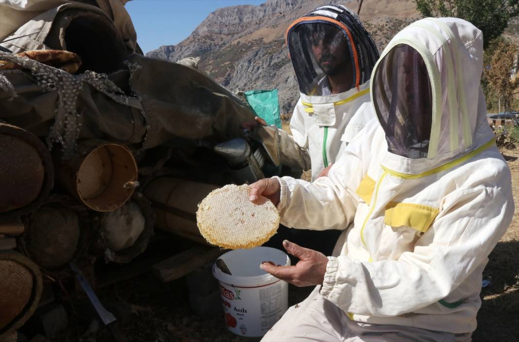 Terörün susturduğu köy, arılarla tekrar hayat buldu 11